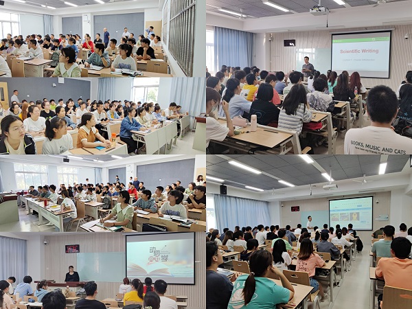 d8d4de5cb6804538ae4113a35089ee85.jpg 1.jpg