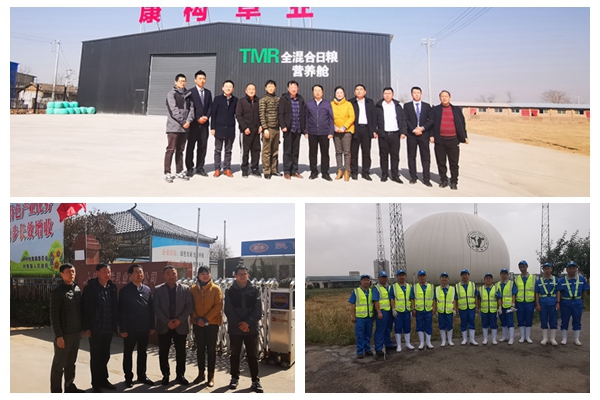 fc429a3c87074eb981a2da41fda9a4d6.jpg NeoImage_副本.jpg