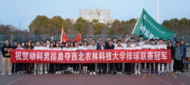 82be266be2094d1db748fceb17a08bc4.jpg 1.jpg