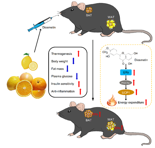 ce157df0b03843eba0af7f7421aa7223.png QQ图片20211115113634_副本.png