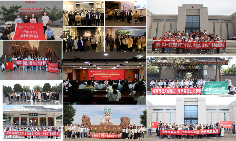 52302b3ec1734777806eb0228a6e4a91.png 333.png