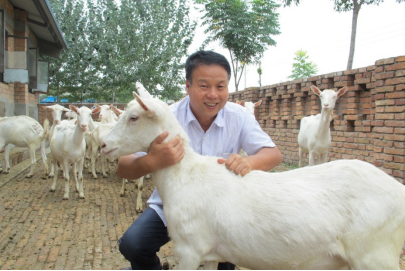 02ae60fc947e41a2a3a92461cf468104.png image.png