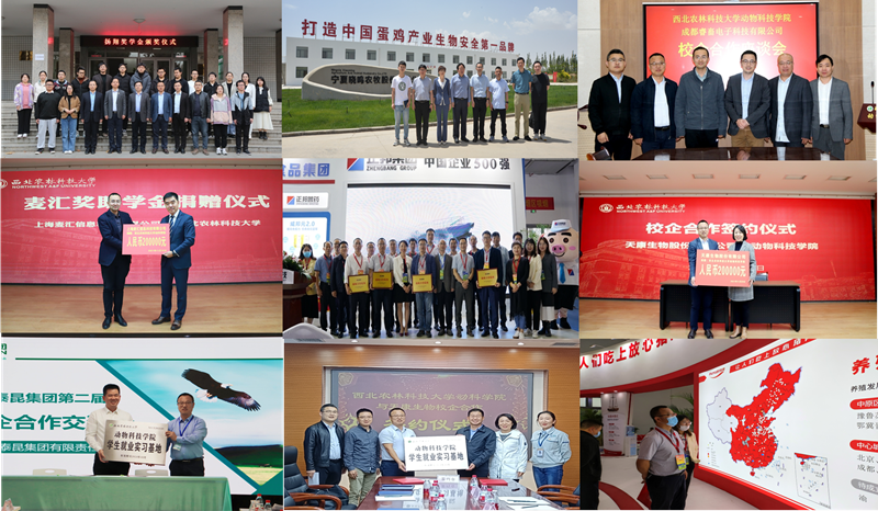 5a026c3b8d3848d1a09508f552044eb6.png 图片2.png