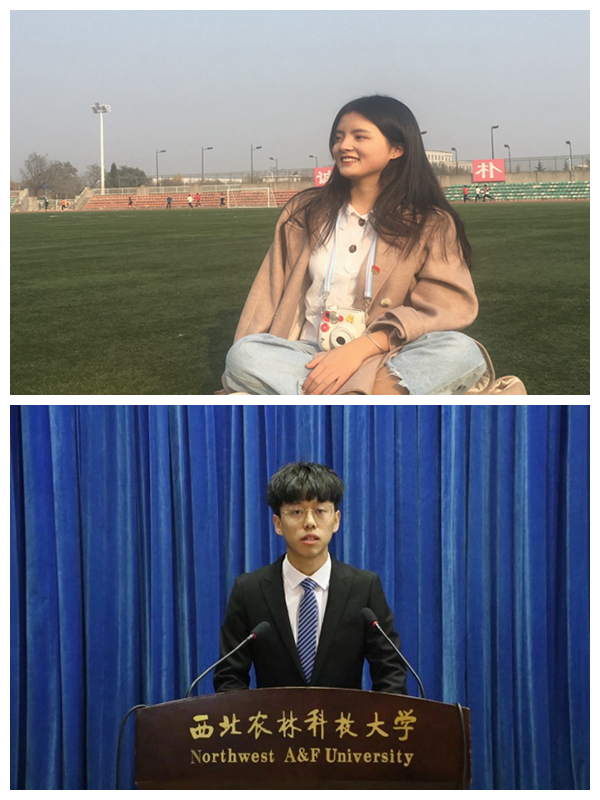 dbb1ae44b667408c9b6b367207b79708.png AA.png