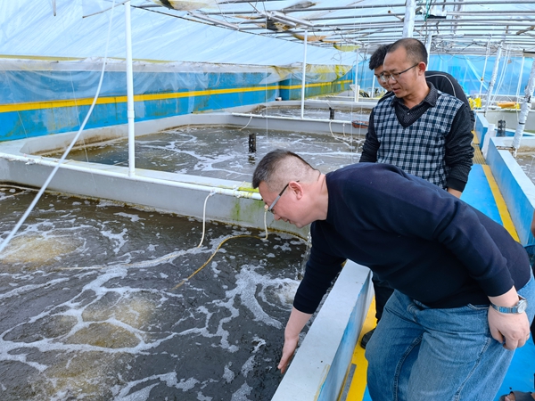 ff8ea3d046d14cebabb46aa88a7dbbb0.jpg 壹加壹公司现场指导 (2)_副本.jpg