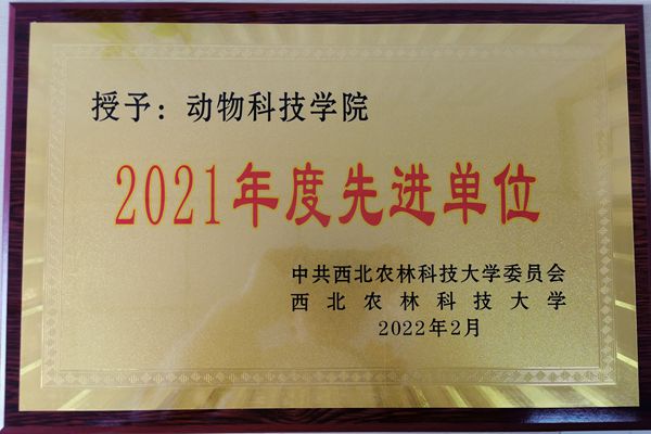 3728d42366ce415897b4b82360fb559e.jpg IMG_20220306_122632.jpg