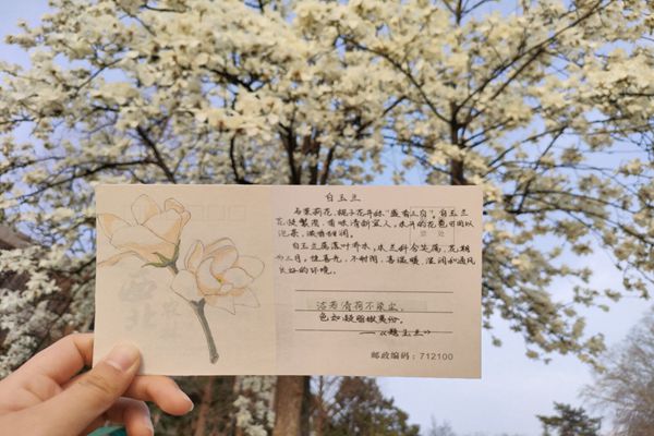 3fa9a3dcbe004830982d05ec5027d0e1.jpg 志愿者明信片打卡.jpg