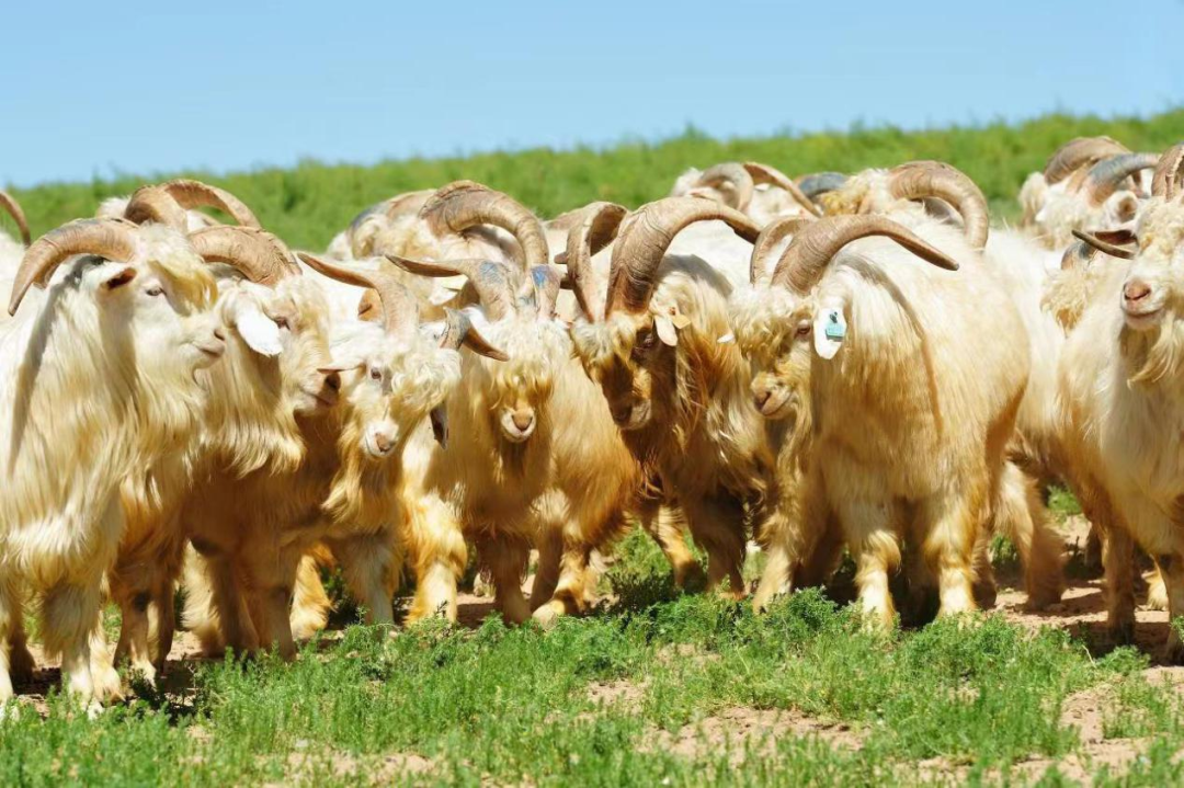 74193886239d4b309952028c22b0811e.png 74193886239d4b309952028c22b0811e.png