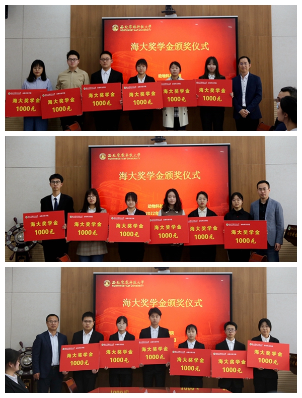 ee1865756b66456eb3ba54f156732252.jpg 光影魔术手拼图.jpg