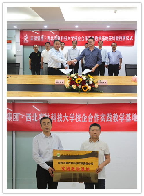 d86a6af09e144e2abab967f2a41955fe.jpg 336A7955_副本_副本2.jpg