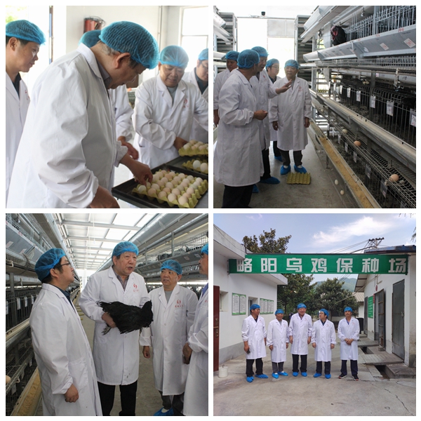 1091cce00f2b4c11a62760a259b1e011.jpg 微信图片_20220621101151_副本_副本_副本.jpg