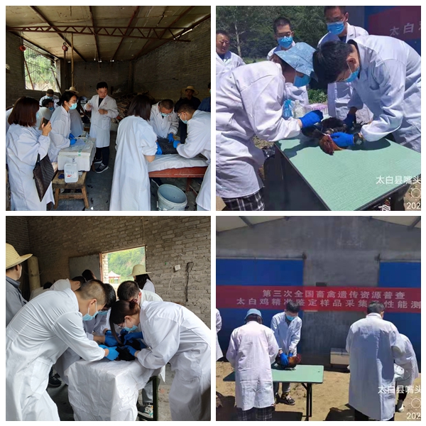 62e98ba641e54c19961187734c51187a.jpg 微信图片_20220621101151_副本_副本.jpg