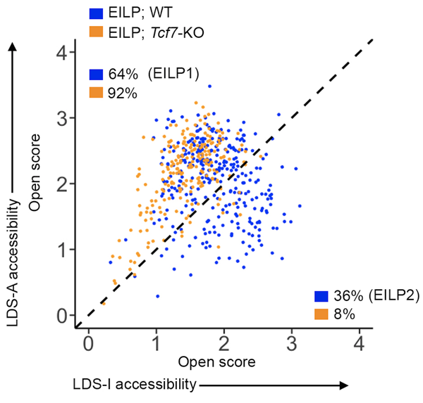 28008d1cd79a4194a11b1b1013d57425.png 图一_副本.png