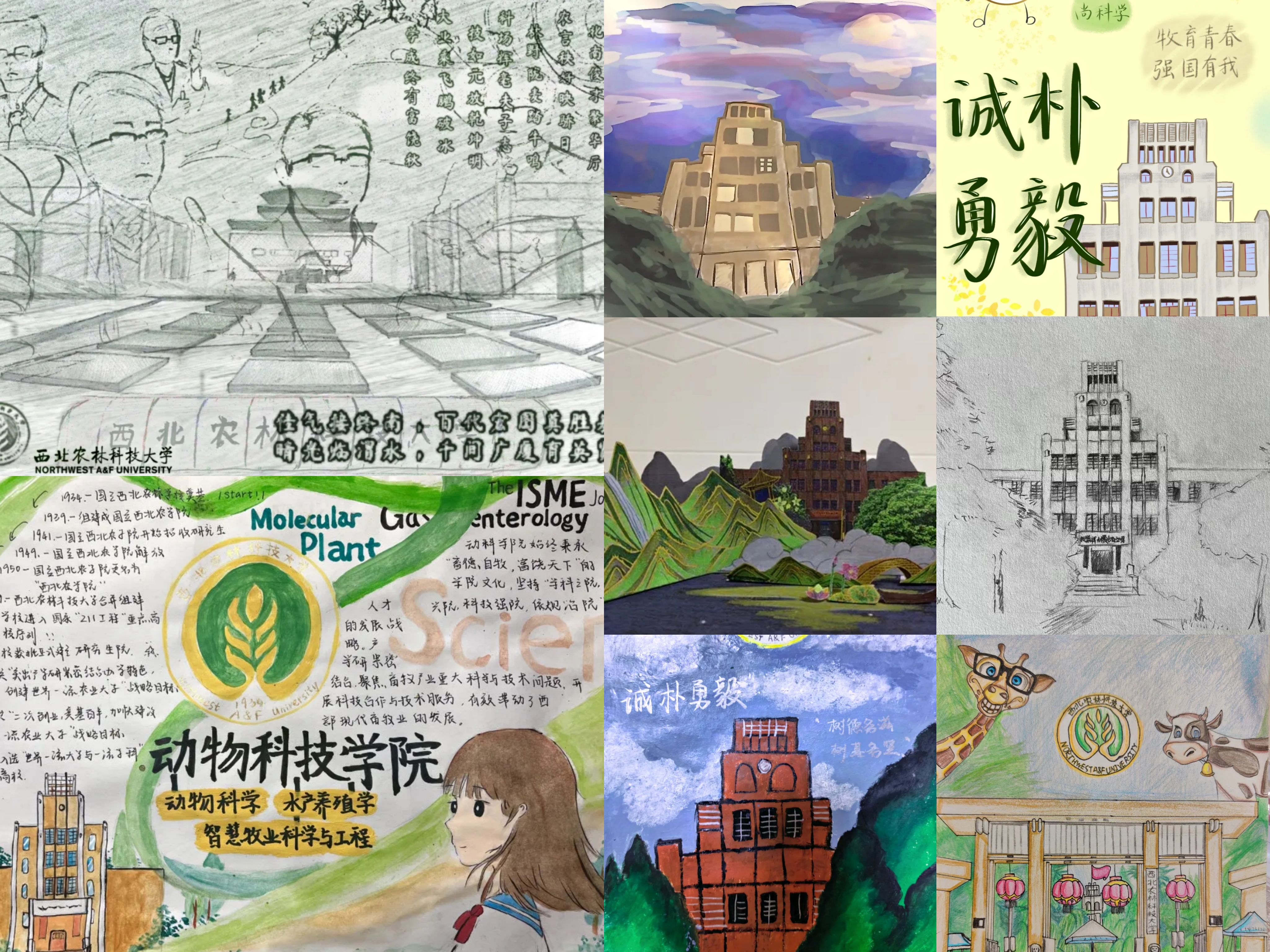 5bf0fbb035aa4129b28cce26b69a70bc.jpg 5bf0fbb035aa4129b28cce26b69a70bc.jpg