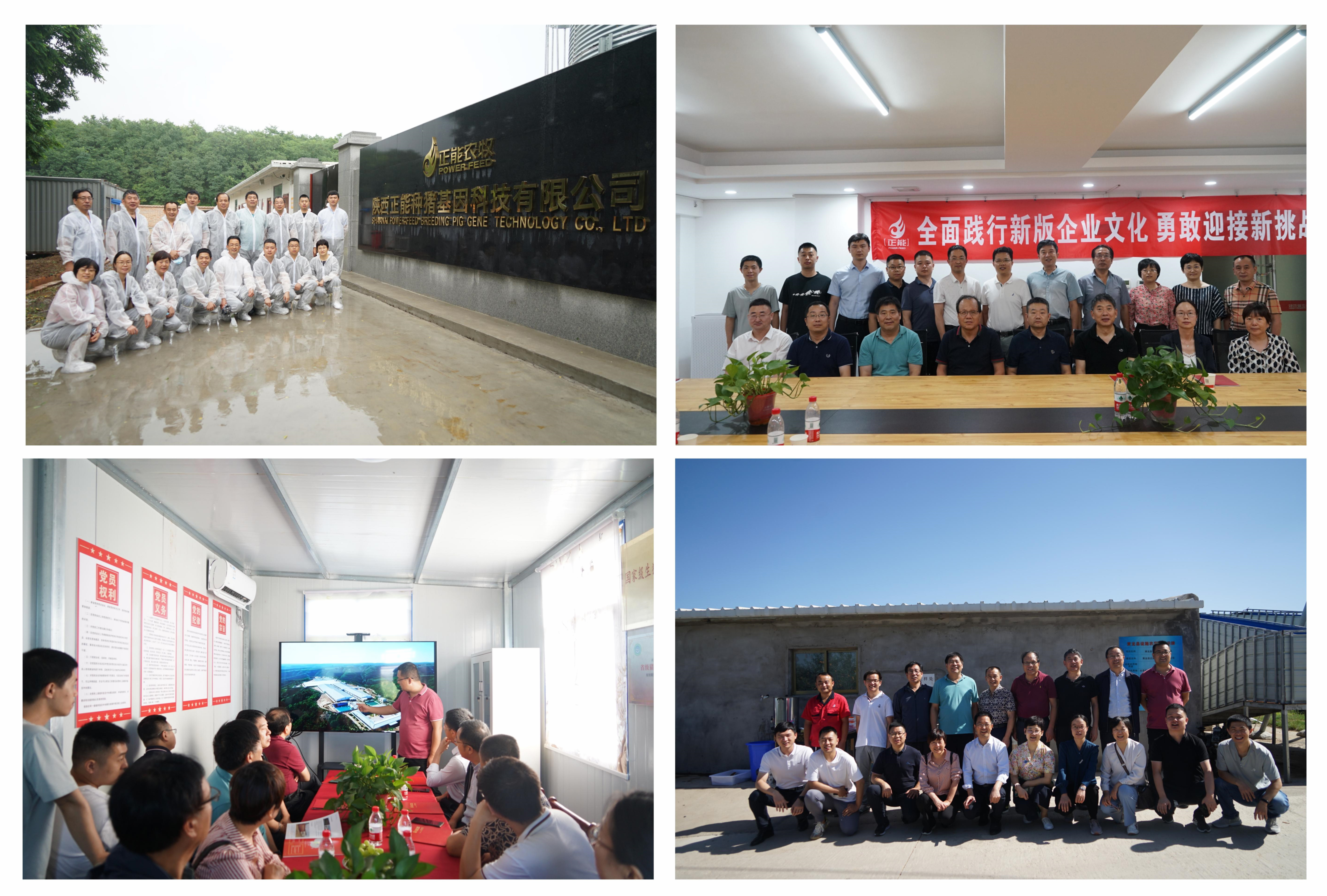 ad88c3332f7a4b7186384dd86d81b206.jpg ad88c3332f7a4b7186384dd86d81b206.jpg