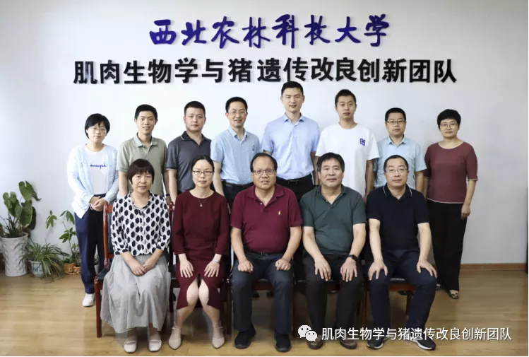 b3fd4a6cdd0d4449bc511f21c8774de4.png mmexport1659356303863.png