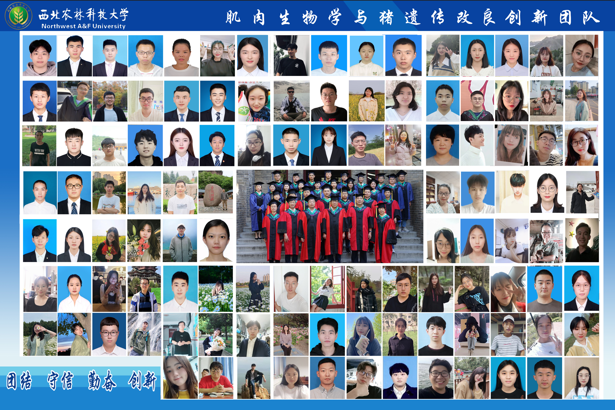 eca1ac03417a41c086494a1874dcc5cb.png QQ图片20220801201258.png