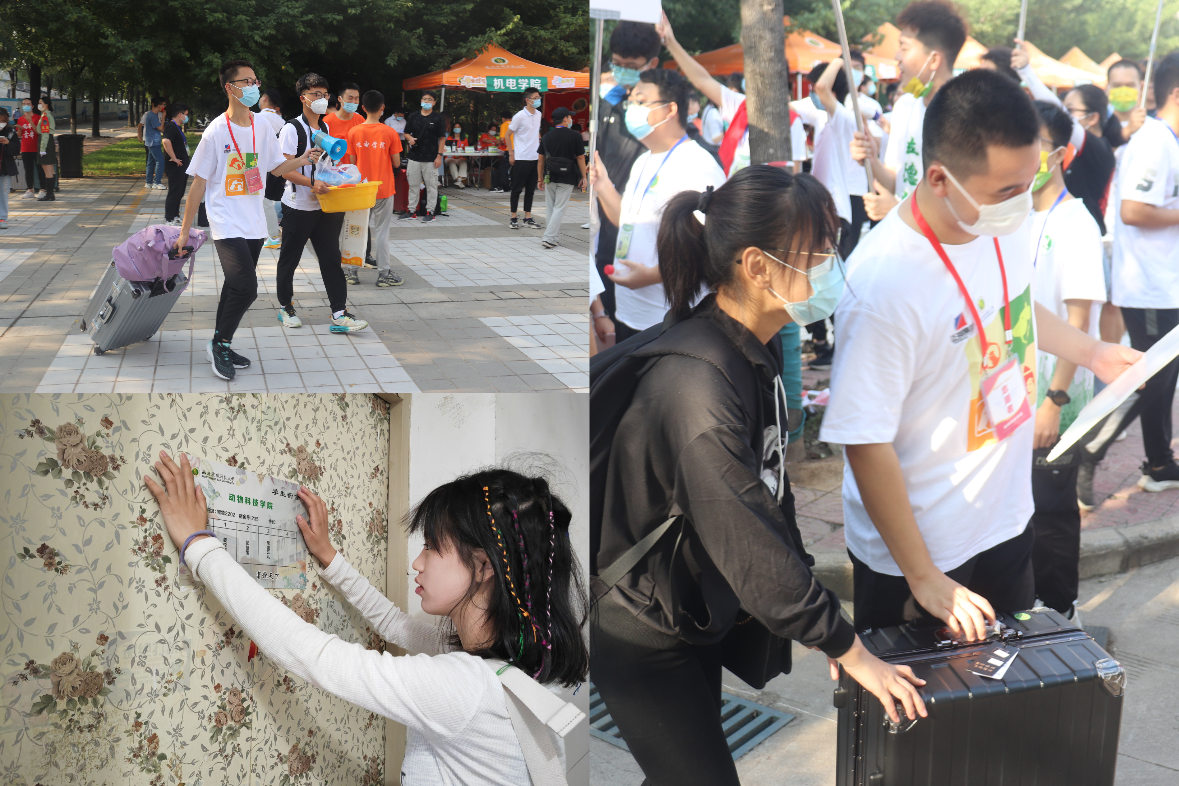 5d9fef211740421db841fb41144a4d08.jpg 5d9fef211740421db841fb41144a4d08.jpg