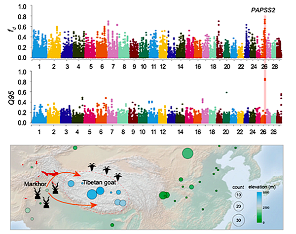 31543393552a49e48c0de9baf69dd920.png image.png