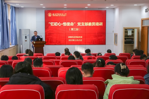 8560c428e7fd4a8c9ae1657005f4f9e5.jpg 336A7529.JPG