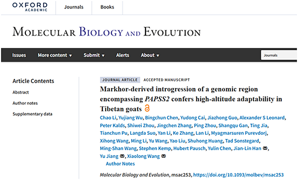 1ea90f4e188543e0896c754972daa8a3.png image.png