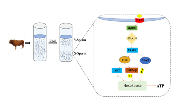 1cc6e67e7e2d475ca6f4a402e07c98ac.png QQ图片20230214085146_副本.png