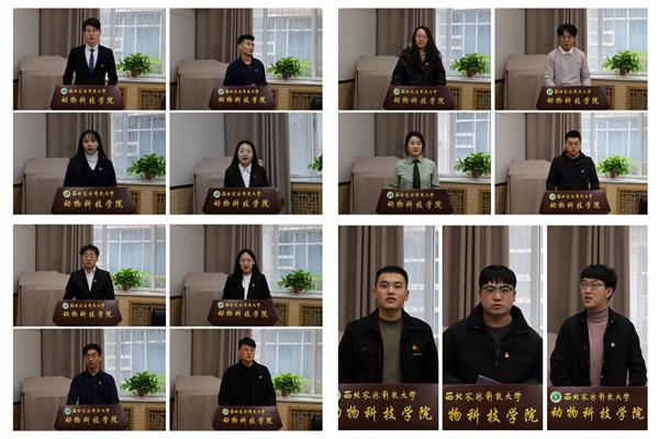 56cdd2e409584deda1d06f836a05150b.jpg 光影魔术手拼图.jpg