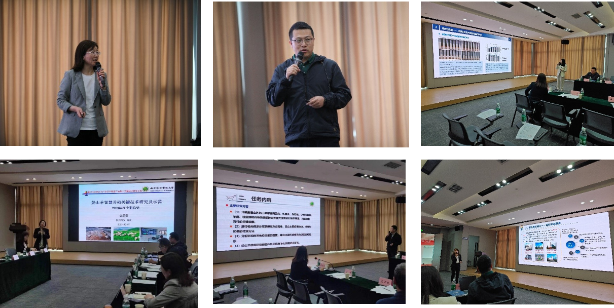 a8e999124ce34abf83218ebfd91136aa.png a8e999124ce34abf83218ebfd91136aa.png