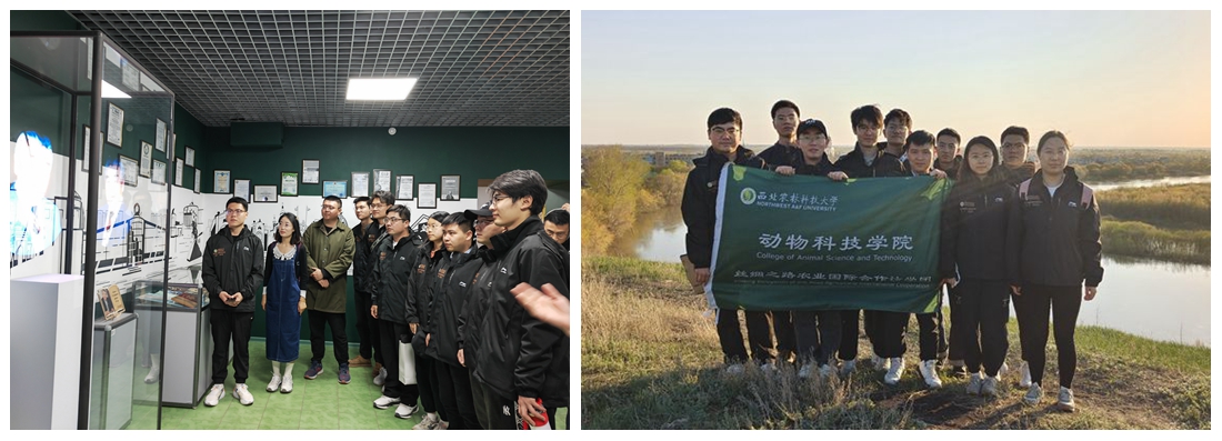 b63b8a1b36014c0984ed764938042b00.jpg 光影魔术手拼图.jpg