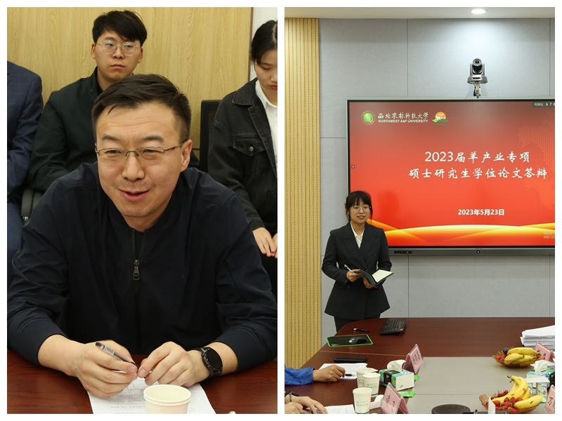 e5cd562c1fc34558a41e13f8f225233d.jpg 光影魔术手拼图.jpg