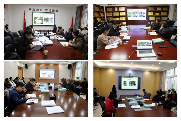 ec1f4609fe0e40b793424d9e4b3a9362.jpg 新闻用.jpg