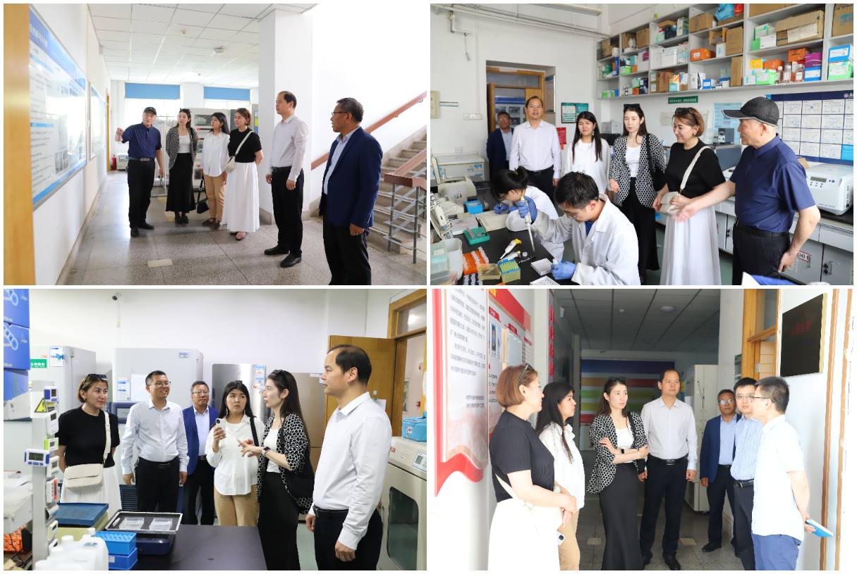 9d917bf40d4f46e1b8da2319232defc5.jpg 9d917bf40d4f46e1b8da2319232defc5.jpg