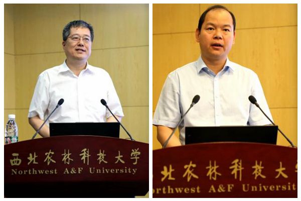 095062730b07405fa499022bca2ee76e.jpg zuhe 1.jpg