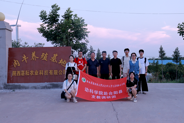 21f6671b8d014d45893a65d4a1a21553.png 06.png