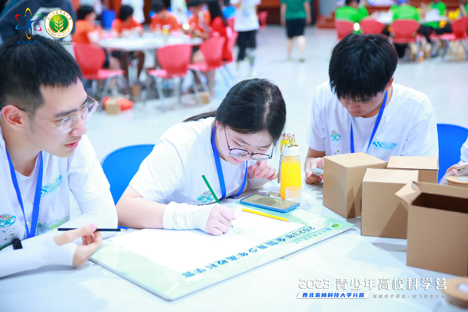 40915fb935b447cea84511a37d9dad7f.png 40915fb935b447cea84511a37d9dad7f.png