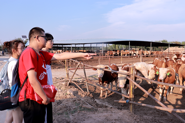 587cae933ee34a92a67e35bdf6077f5d.png 07.png