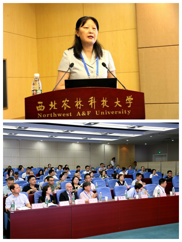 e981f1c9aa6e448e9c2b7d4fca810e03.png zuhe 2.png