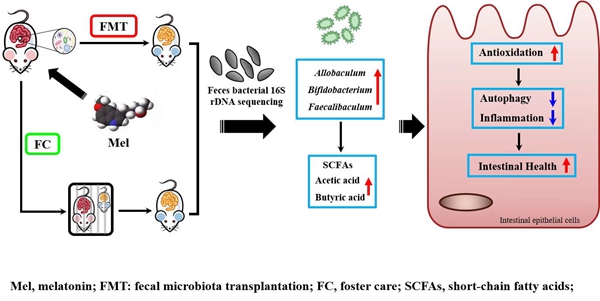 05ac85e6bdf64765a9c0f82339f53135.jpg 1_副本.jpg