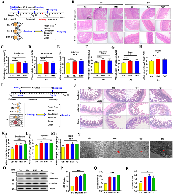 2e1e25017fe646a1868d38c19f19a261.png 2_副本.png