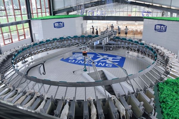 c8fbce4a320e471eb845480b30debc22.jpg 参观转盘式智能挤奶系统.jpg