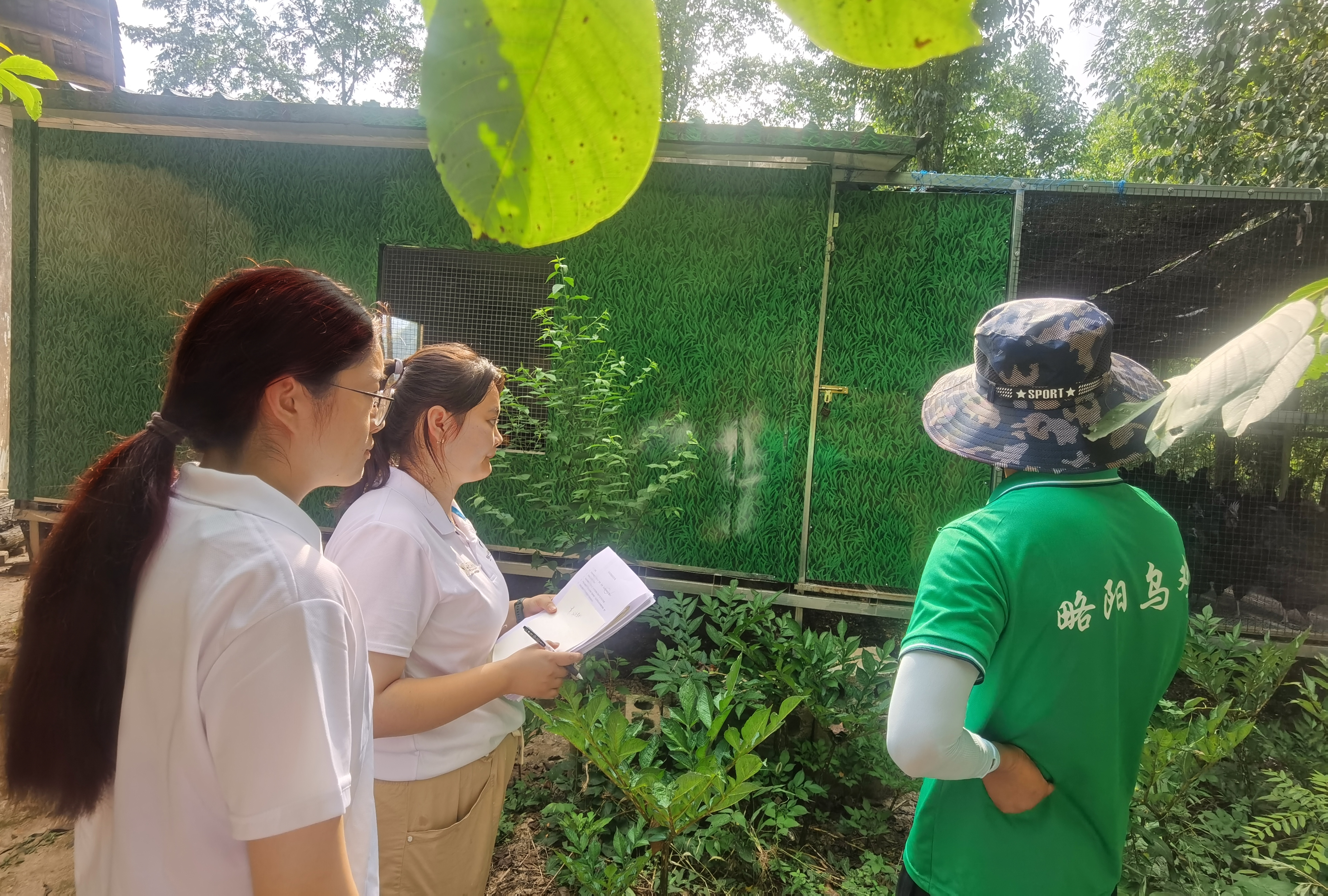 d97adb11289d4ec4a1b30618f1fddaee.jpg d97adb11289d4ec4a1b30618f1fddaee.jpg