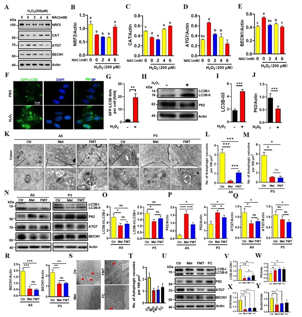 f0f60d413d6c4eb6b98659521475c2d5.jpg 3_副本.jpg