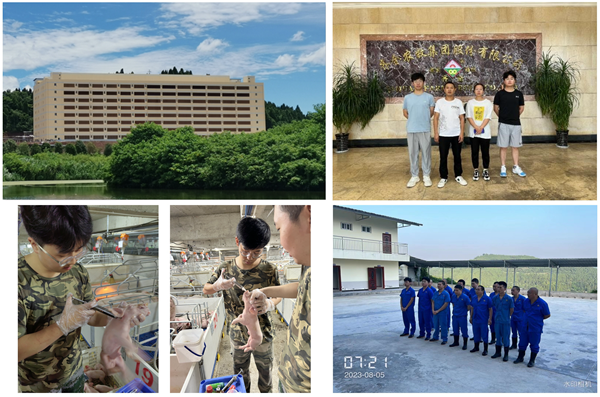 3139d1e760d84749b8ab77b6804d4789.png 图2_副本.png