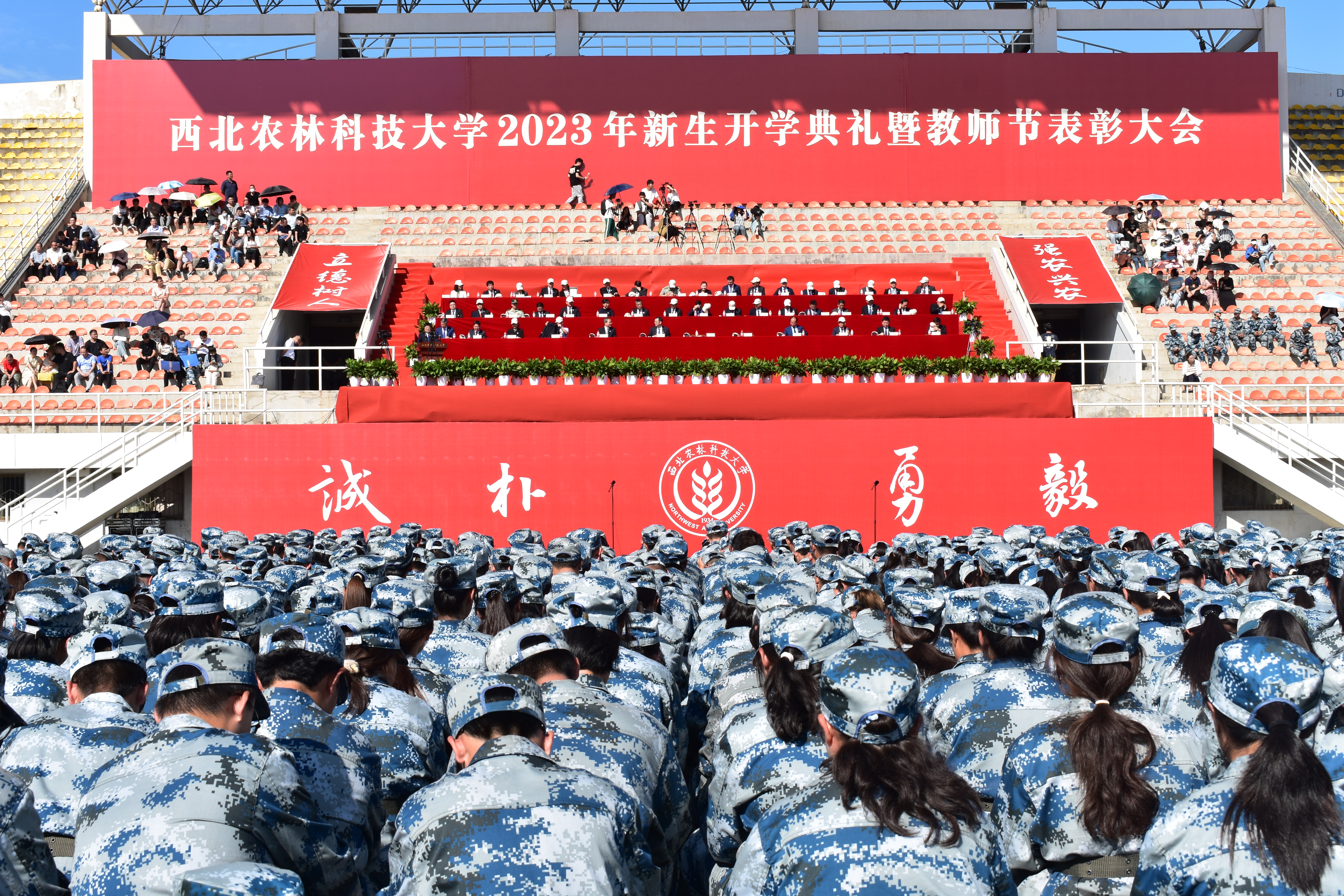 553b18a12b5847a29c8e6cb9924e279a.jpg 553b18a12b5847a29c8e6cb9924e279a.jpg