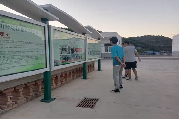 9f90fb97004946949a99ed49e1fc34cd.jpg 服务队参观甘泉万只湖羊种羊繁育基地.jpg