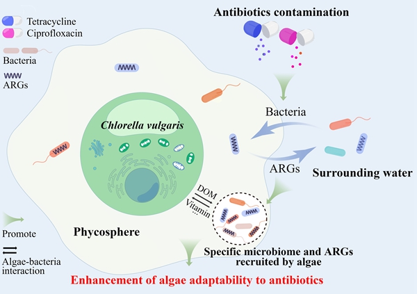 cd750523c7cf4400ba431065f4b17400.jpg 图片_副本_副本.jpg