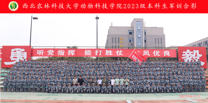 d1f3e4ddbe084c668231dce364c04664.png 20M以下.png