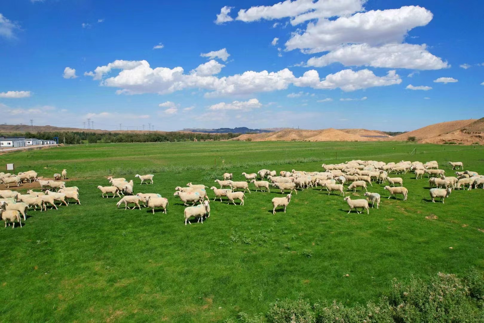 a8d5b90c194743e6b6fedf372241492d.jpg a8d5b90c194743e6b6fedf372241492d.jpg