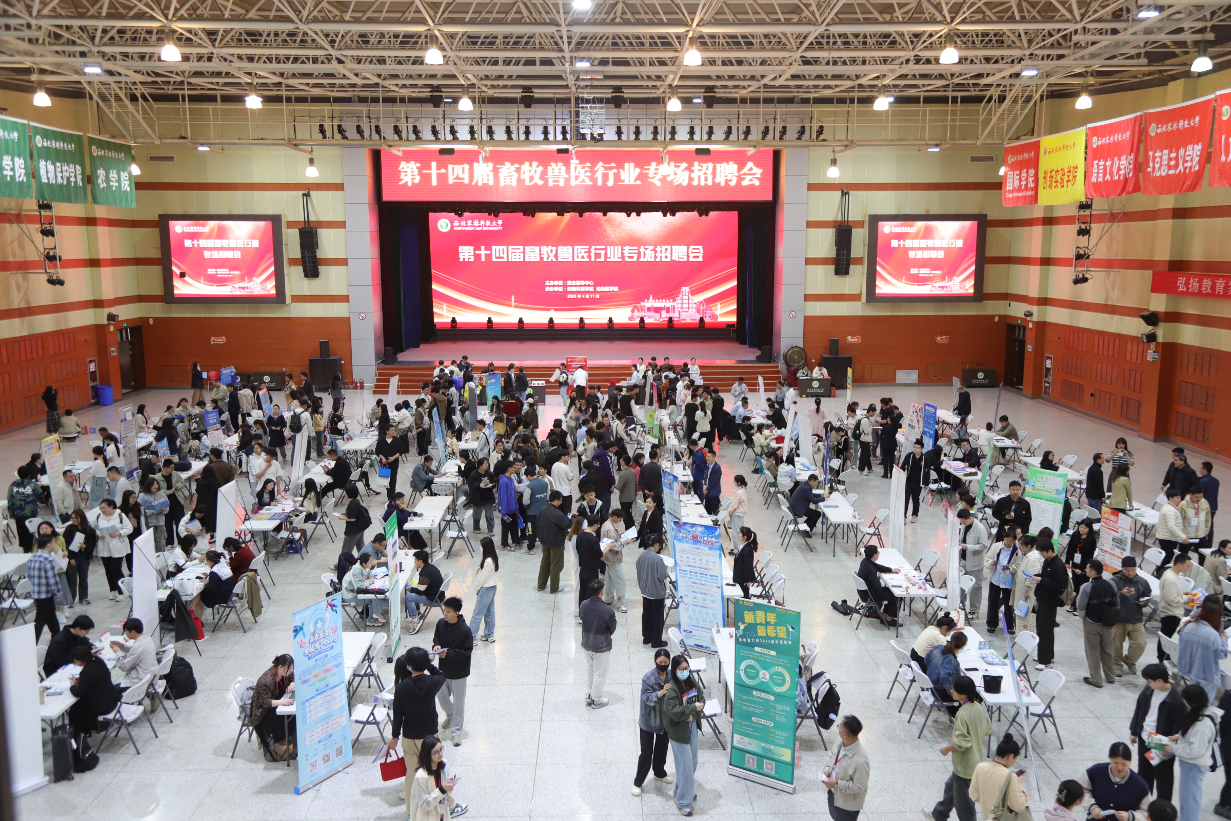 招聘会现场2.jpeg