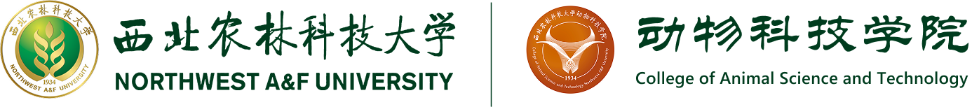 小黄书
